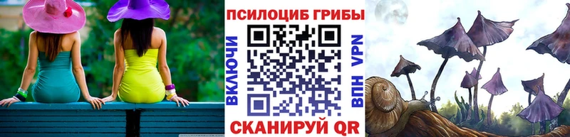 Псилоцибиновые грибы Psilocybe  Щёлково 